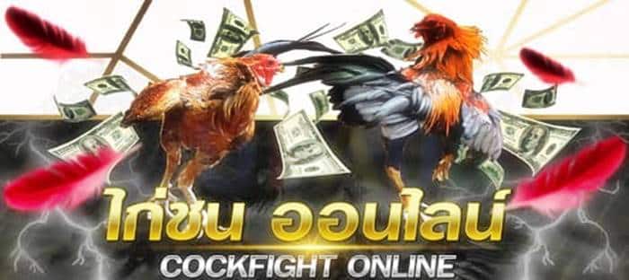 ไก่ชนออนไลน์สด คาสิโน ไก่ชนออนไลน์สด คาสิโน