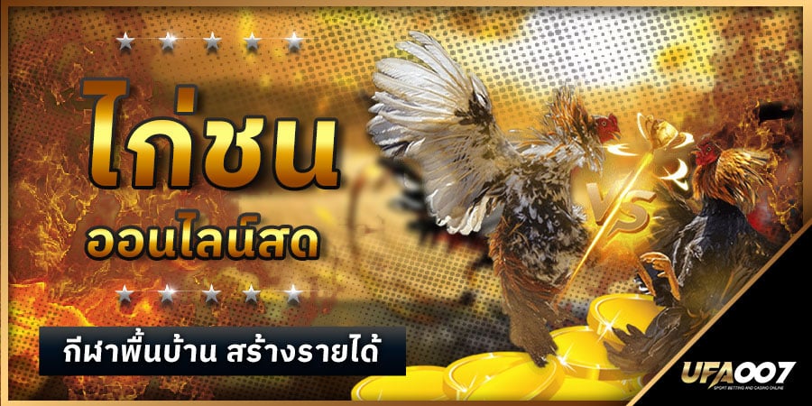 ไก่ชนออนไลน์สด ไก่ชนออนไลน์สด